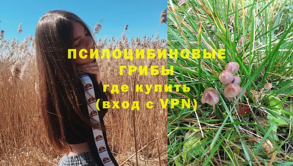 MDMA Premium VHQ Алексеевка