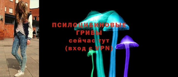 a pvp Алексин